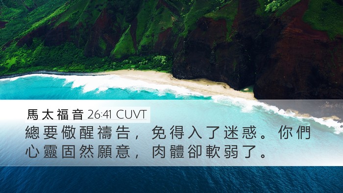 馬 太 福 音 26:41 CUVT Bible Verse Image