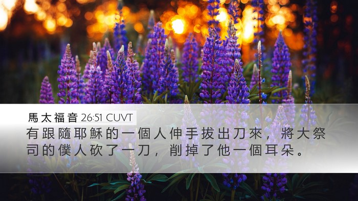 馬 太 福 音 26:51 CUVT Bible Verse Image