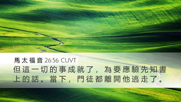 馬 太 福 音 26:56 CUVT Bible Verse Image