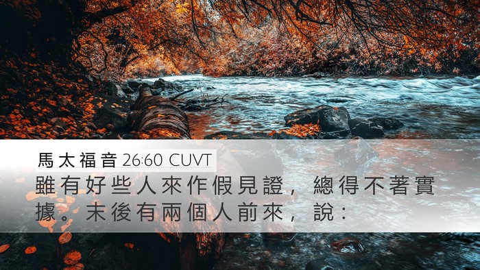 馬 太 福 音 26:60 CUVT Desktop Wallpaper - 雖 有 好 些 人 來 作 假 見 證 ， 總 - Desktop Bible Verse Wallpaper