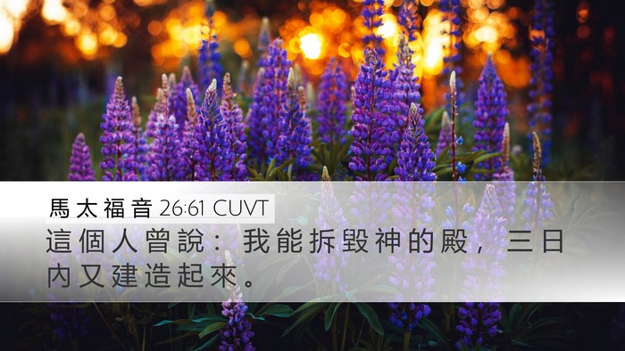 馬 太 福 音 26:61 CUVT Bible Verse Image