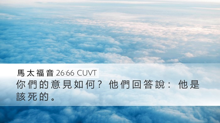 馬 太 福 音 26:66 CUVT Bible Verse Image