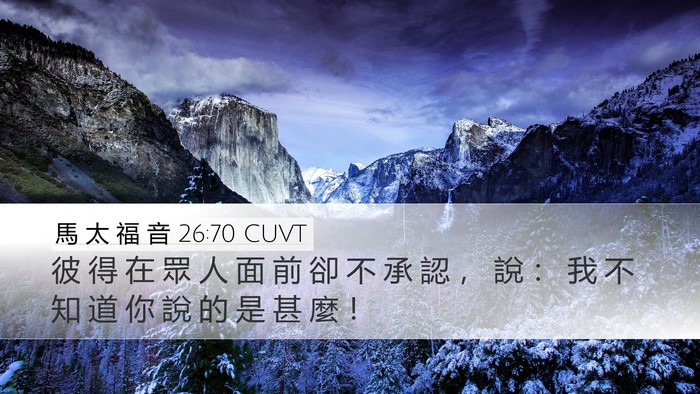 馬 太 福 音 26:70 CUVT Bible Verse Image