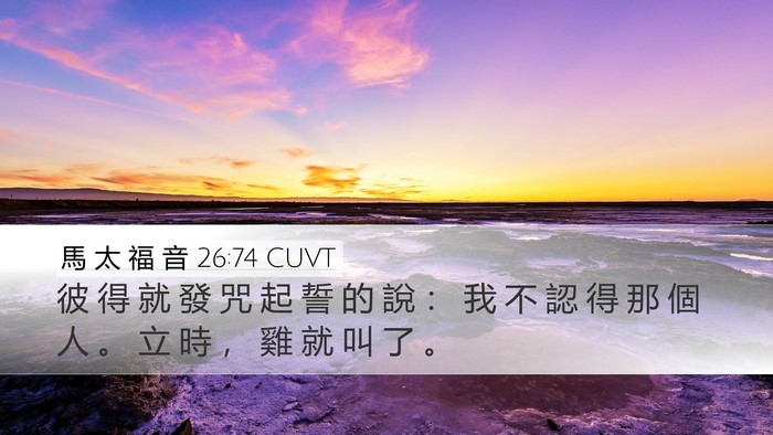 馬 太 福 音 26:74 CUVT Desktop Wallpaper - 彼 得 就 發 咒 起 誓 的 說 ： 我 不 - Desktop Bible Verse Wallpaper