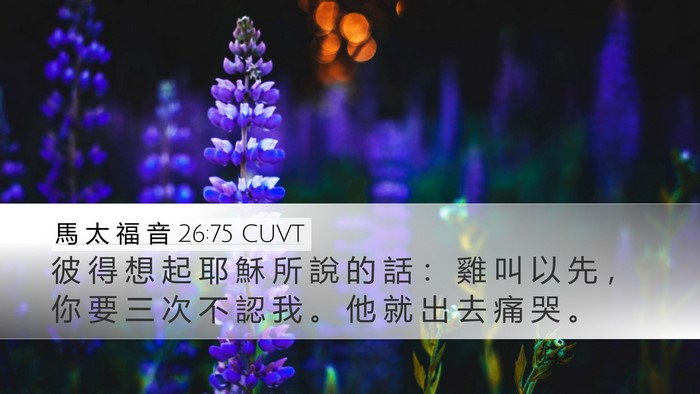 馬 太 福 音 26:75 CUVT Bible Verse Image