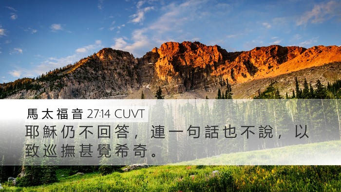 馬 太 福 音 27:14 CUVT Bible Verse Image