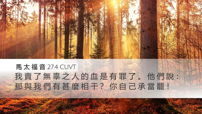馬 太 福 音 27:4 CUVT Bible Verse Image