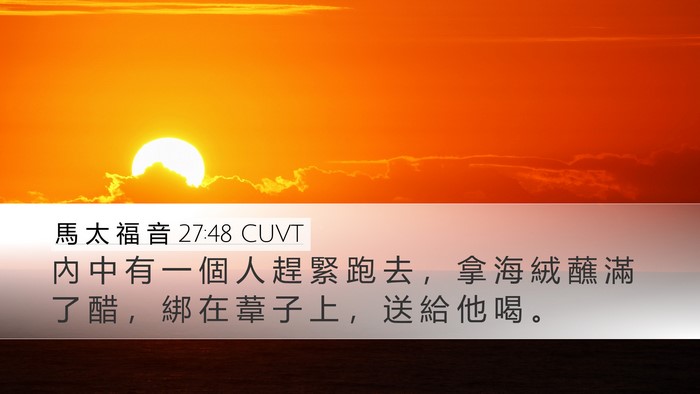 馬 太 福 音 27:48 CUVT Bible Verse Image