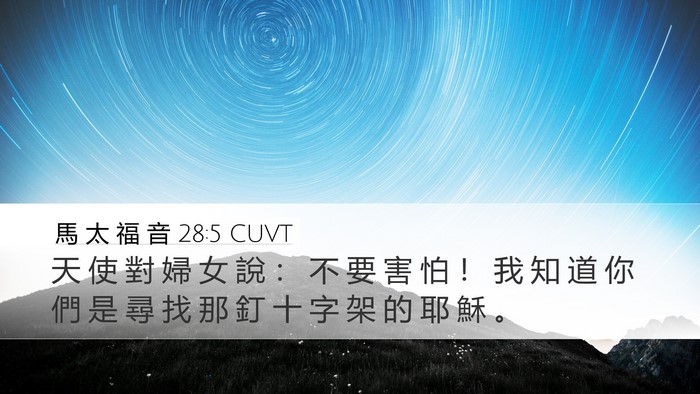 馬 太 福 音 28:5 CUVT Bible Verse Image