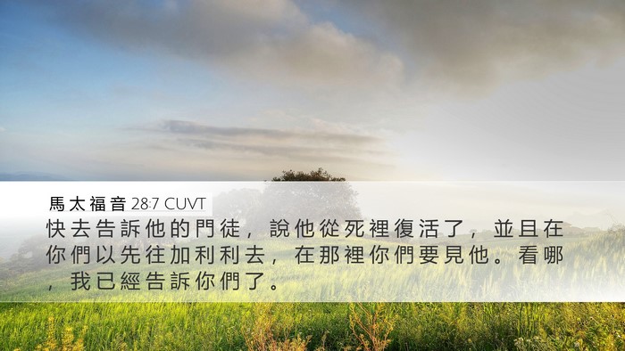 馬 太 福 音 28:7 CUVT Bible Verse Image