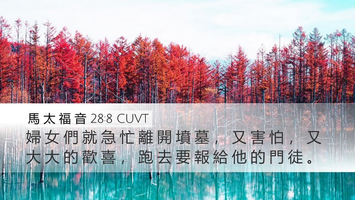 馬 太 福 音 28:8 CUVT Bible Verse Image