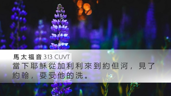 馬 太 福 音 3:13 CUVT Bible Verse Image
