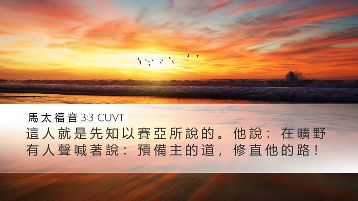 馬 太 福 音 3:3 CUVT Bible Verse Image