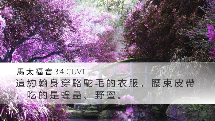 馬 太 福 音 3:4 CUVT Bible Verse Image