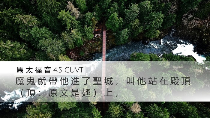 馬 太 福 音 4:5 CUVT Bible Verse Image
