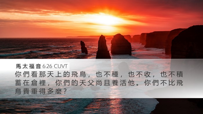 馬 太 福 音 6:26 CUVT Bible Verse Image