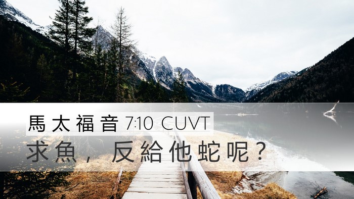 馬 太 福 音 7:10 CUVT Desktop Wallpaper - 求 魚 ， 反 給 他 蛇 呢 - Desktop Bible Verse Wallpaper