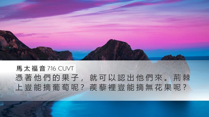 馬 太 福 音 7:16 CUVT Bible Verse Image