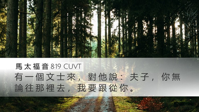 馬 太 福 音 8:19 CUVT Bible Verse Image
