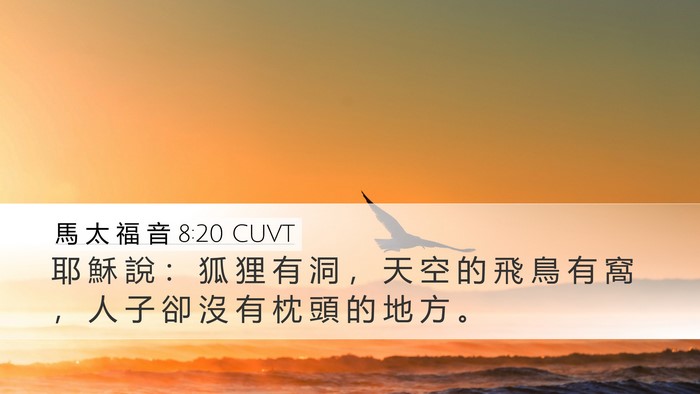 馬 太 福 音 8:20 CUVT Bible Verse Image