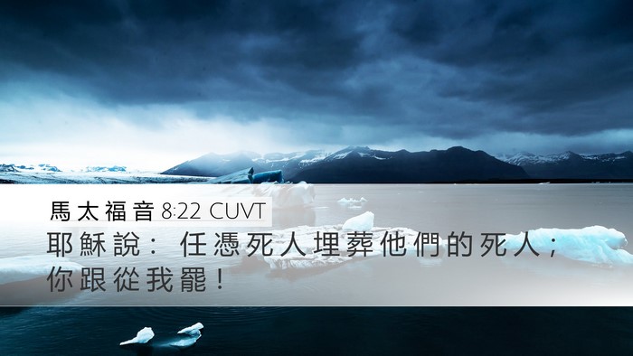 馬 太 福 音 8:22 CUVT Bible Verse Image