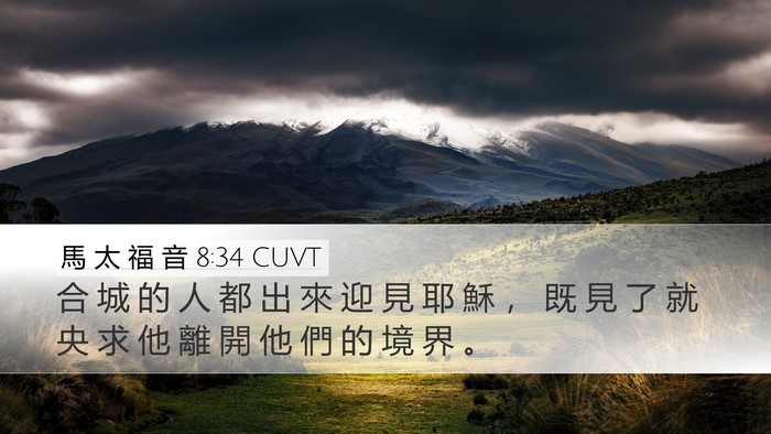 馬 太 福 音 8:34 CUVT Bible Verse Image