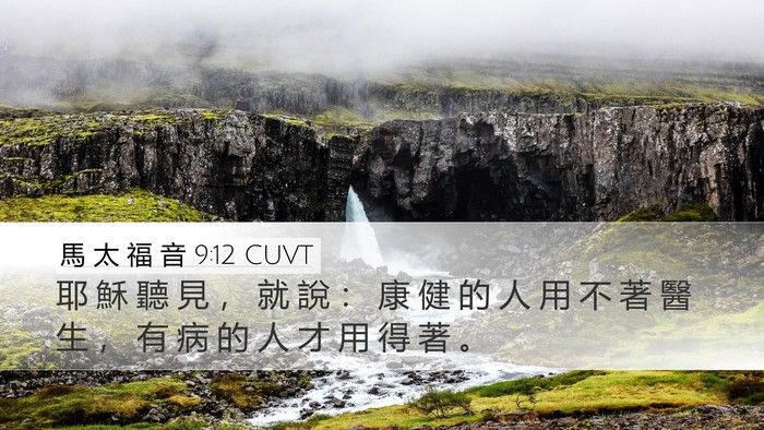 馬 太 福 音 9:12 CUVT Bible Verse Image