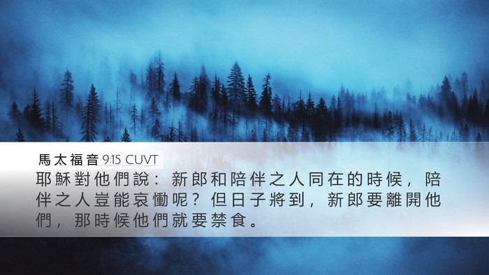 馬 太 福 音 9:15 CUVT Bible Verse Image