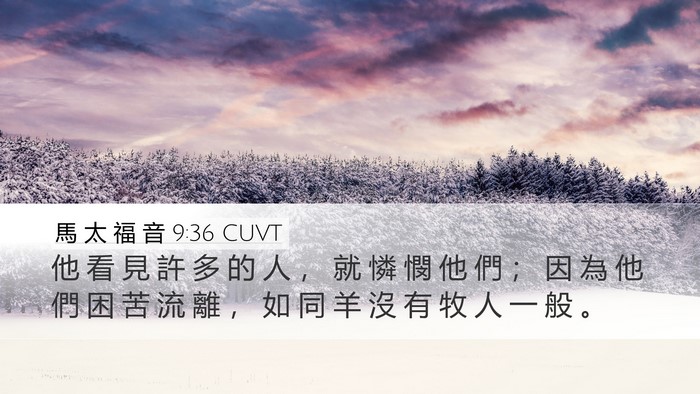 馬 太 福 音 9:36 CUVT Bible Verse Image