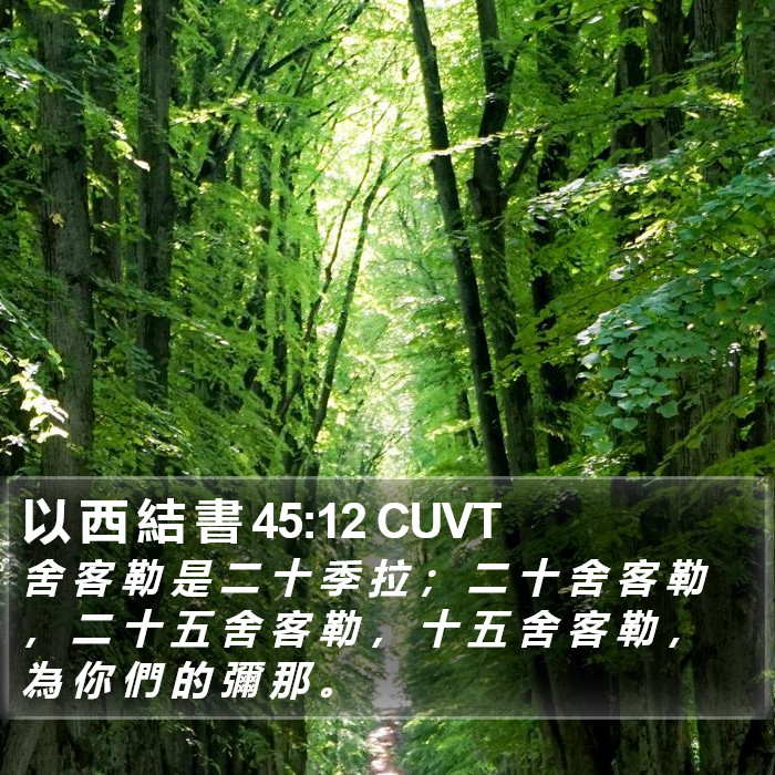 以 西 結 書 45:12 CUVT - 舍 客 勒 是 二 十 季 拉 ; 二 十 舍