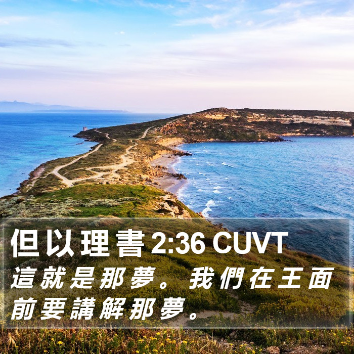 但 以 理 書 2:36 CUVT - 這 就 是 那 夢 。 我 們 在 王 面 前