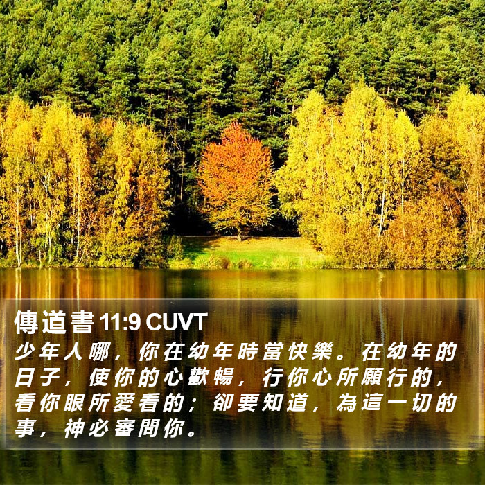 傳 道 書 11:9 CUVT - 少 年 人 哪 , 你 在 幼 年 時 當 快