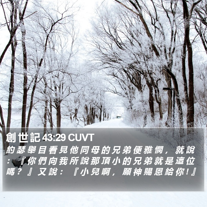 創 世 記 43:29 CUVT - 約 瑟 舉 目 看 見 他 同 母 的 兄 弟