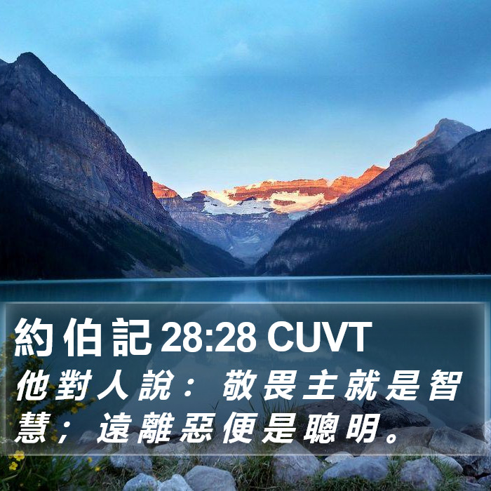 約 伯 記 28:28 CUVT - 他 對 人 說 : 敬 畏 主 就 是 智 慧