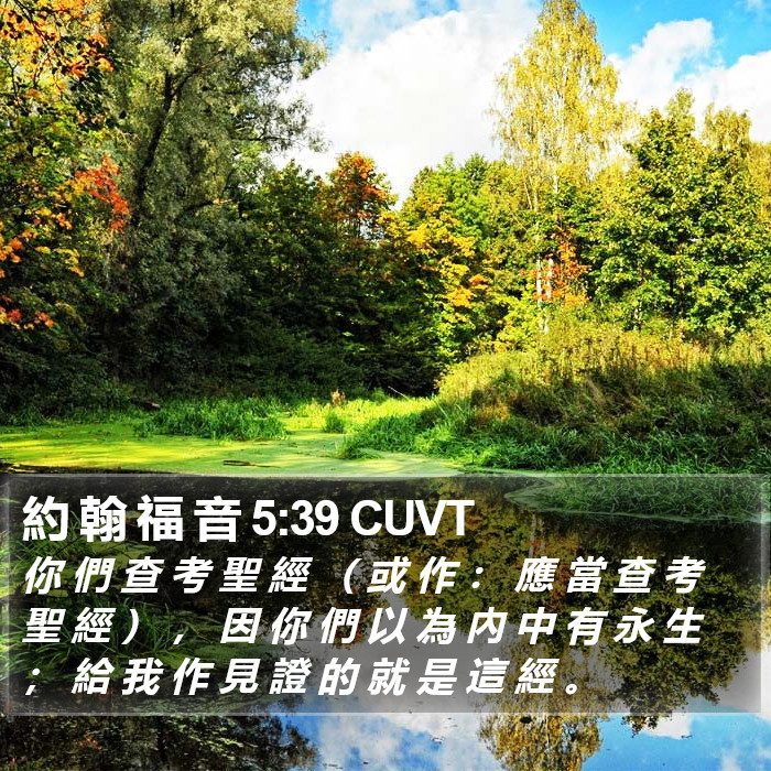 約 翰 福 音 5:39 CUVT - 你 們 查 考 聖 經 （ 或 作 ： 應 當