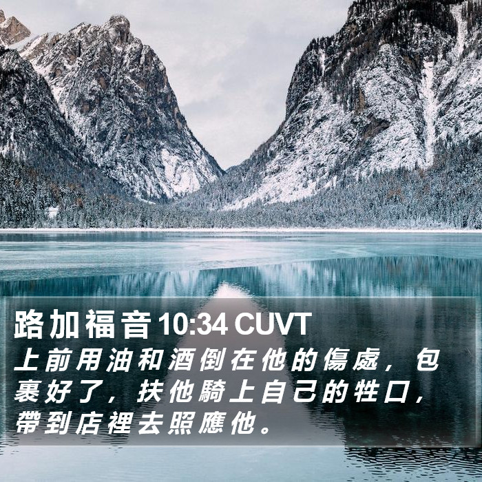 路 加 福 音 10:34 CUVT - 上 前 用 油 和 酒 倒 在 他 的 傷 處