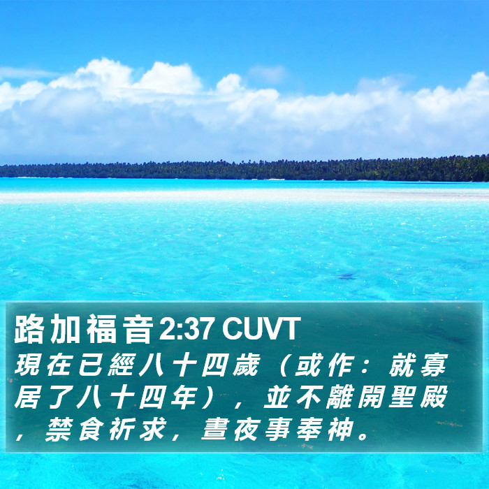 路 加 福 音 2:37 CUVT - 現 在 已 經 八 十 四 歲 （ 或 作