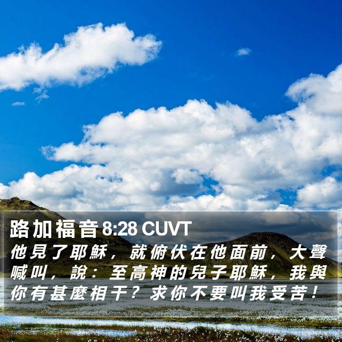 路 加 福 音 8:28 CUVT - 他 見 了 耶 穌 ， 就 俯 伏 在 他 面