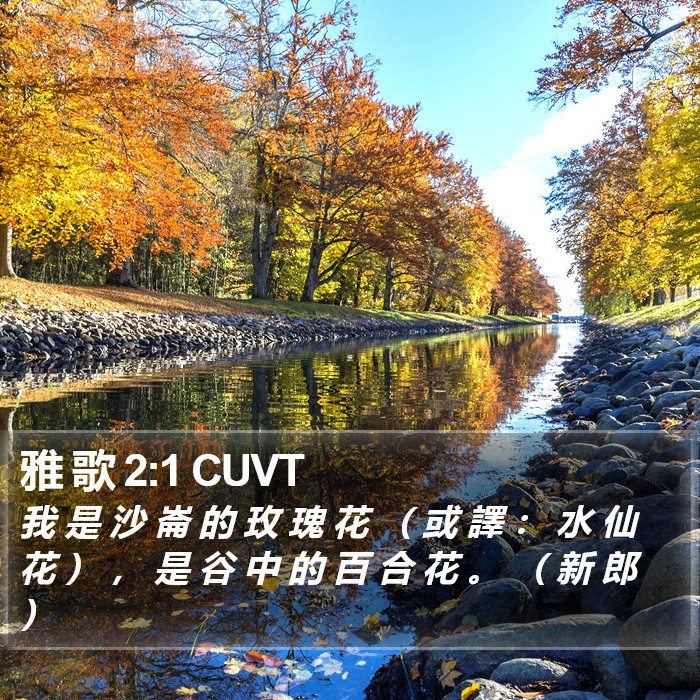 雅 歌 2:1 CUVT - 我 是 沙 崙 的 玫 瑰 花 ( 或 譯
