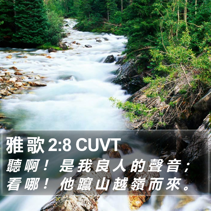 雅 歌 2:8 CUVT - 聽 啊 ! 是 我 良 人 的 聲 音 ; 看