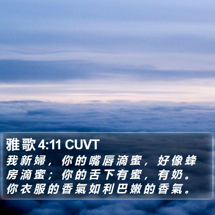 雅 歌 4:11 CUVT - 我 新 婦 , 你 的 嘴 唇 滴 蜜 , 好