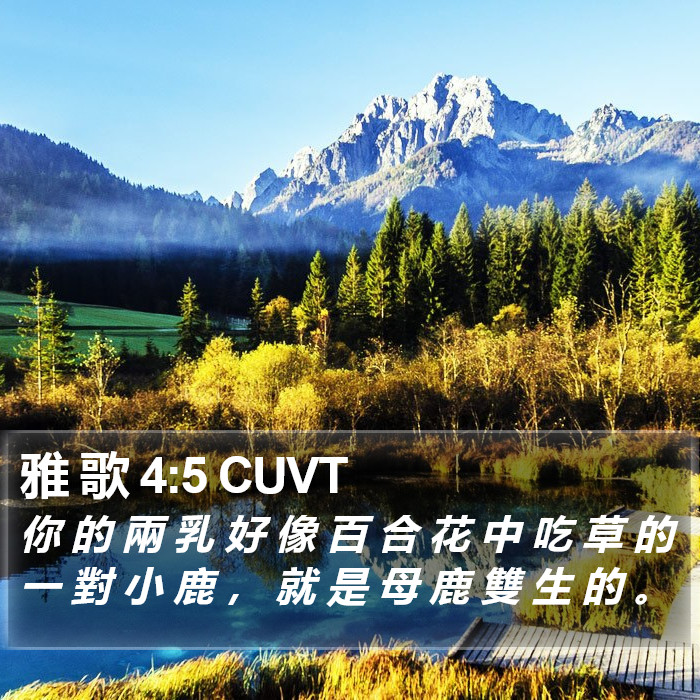 雅 歌 4:5 CUVT - 你 的 兩 乳 好 像 百 合 花 中 吃 草
