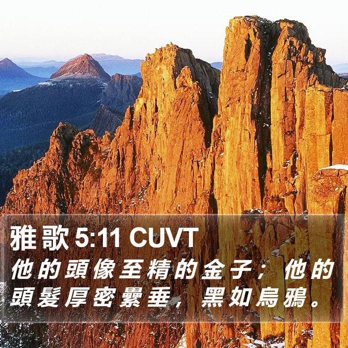 雅 歌 5:11 CUVT - 他 的 頭 像 至 精 的 金 子 ; 他 的
