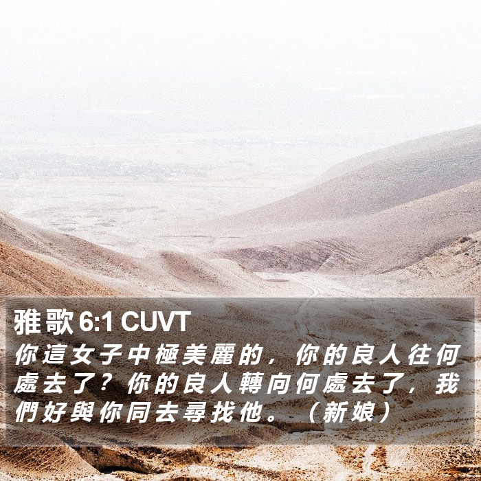 雅 歌 6:1 CUVT - 你 這 女 子 中 極 美 麗 的 , 你 的