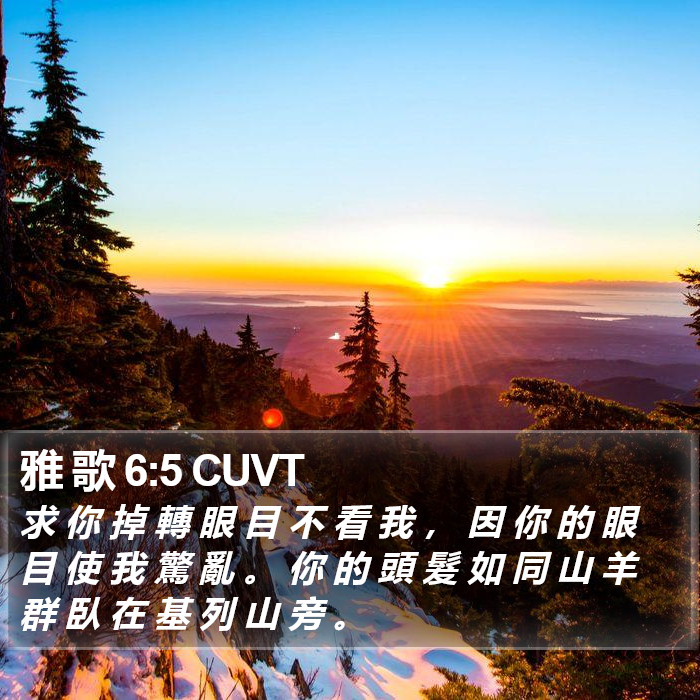 雅 歌 6:5 CUVT - 求 你 掉 轉 眼 目 不 看 我 , 因 你