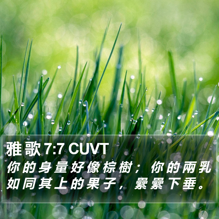 雅 歌 7:7 CUVT - 你 的 身 量 好 像 棕 樹 ; 你 的 兩