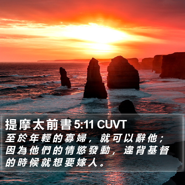 提 摩 太 前 書 5:11 CUVT - 至 於 年 輕 的 寡 婦 , 就 可 以 辭 - Bible Verse Picture