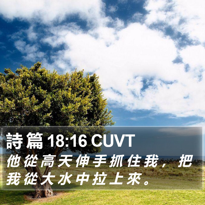 詩 篇 18:16 CUVT - 他 從 高 天 伸 手 抓 住 我 , 把 我 - Bible Verse Picture