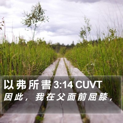 以 弗 所 書 3:14 CUVT Bible Verse Image