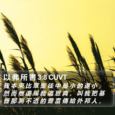 以 弗 所 書 3:8 CUVT Bible Verse Image